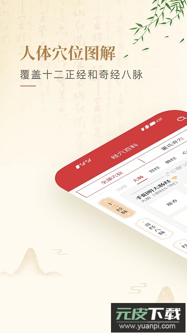 人体穴位图解最新版截图1