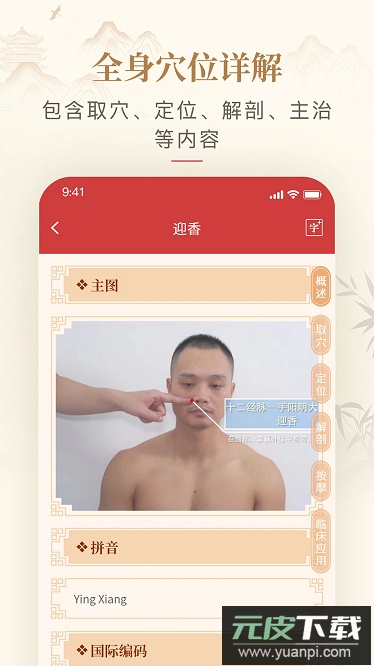 人体穴位图解最新版截图2