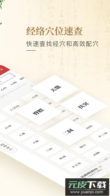 人体穴位图解最新版截图3