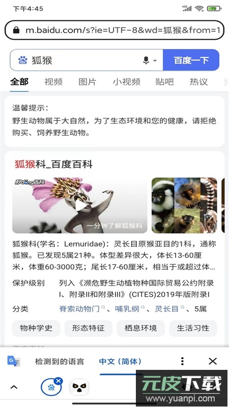 狐猴浏览器(Lemur Browser)app安卓最新版截图6