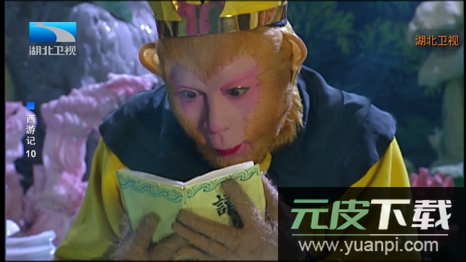 新野火直播最新版本截图3