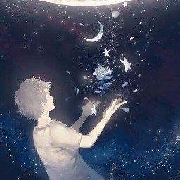 口袋妖怪星空版安卓免实名版v1.0 免费版