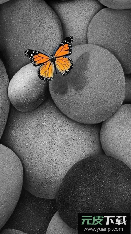 波浪动态壁纸app去广告版(Wave Live Wallpapers)截图4