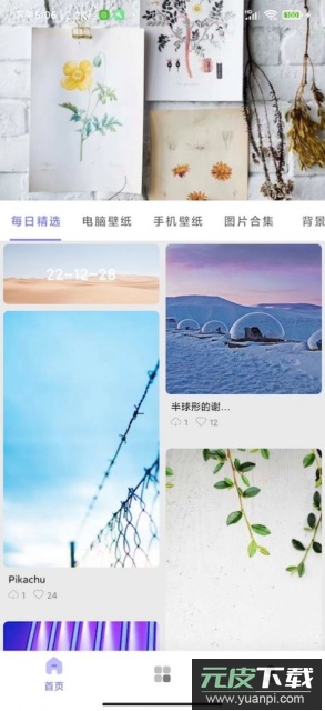 派派壁纸app免费版截图3