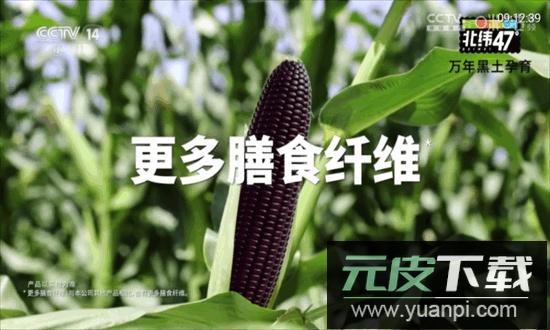 秋水tv电视最新版本截图3