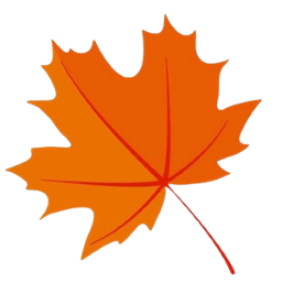 枫奕tvpro电视版app最新版v912246146免费版