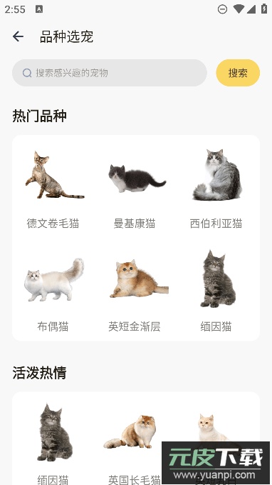 宠酱app最新版2023截图4