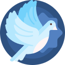 熊盒子白鸽软件库app手机版v1.0