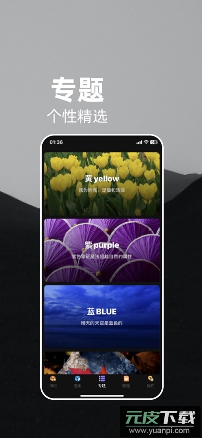 量岛壁纸app手机版截图1