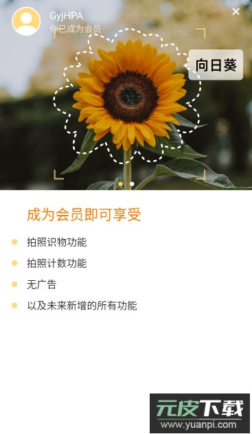 ai爱识别app安卓版截图2