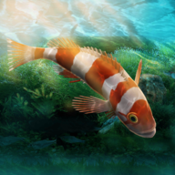 水族设计师安卓免费版v1.0.0