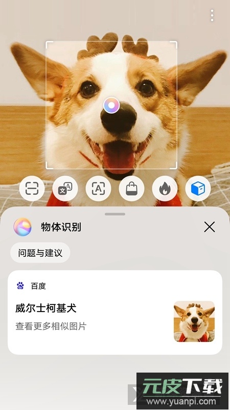 易模app最新版手机版截图5