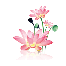 水墨工具箱app免费版v1.2.0