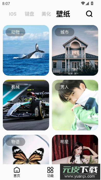 彩虹猫pro主题软件下载截图1