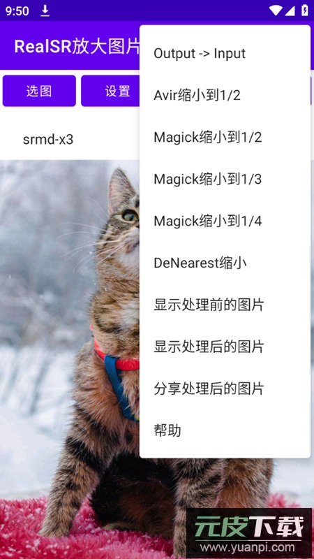 RealSR放大图片app官方安卓版截图5