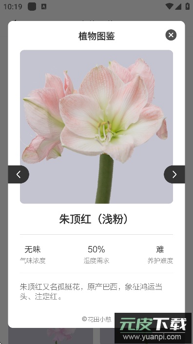 花田小憩app官方最新版下载截图1