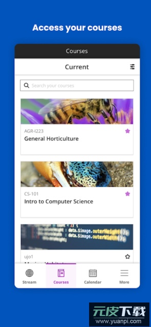 Blackboard教学平台安卓版截图2