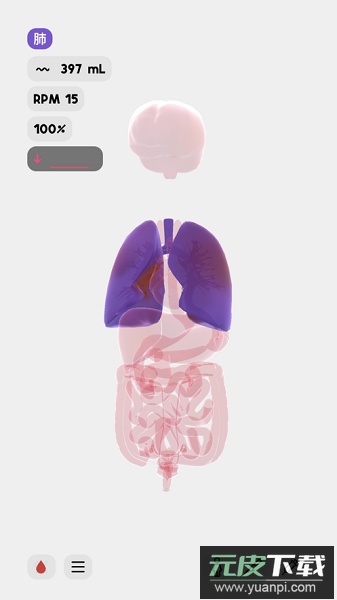 生命life游戏截图2
