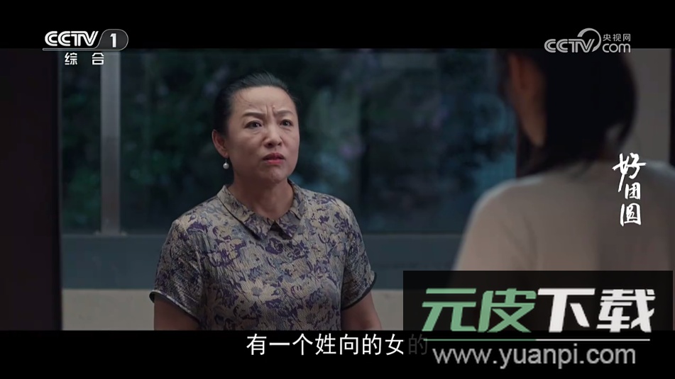 webview电视tv版最新版截图4