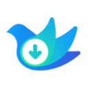 云雀idm网页视频下载器app最新版2025v18.21