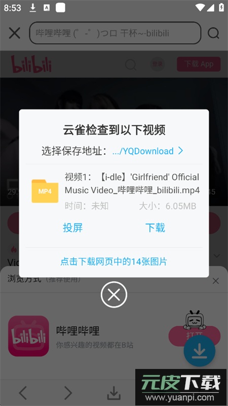 云雀idm网页视频下载器app最新版2025截图3