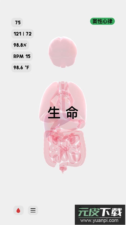 生命life安卓版中文截图1