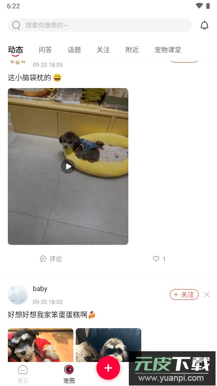 铲屎官的日常app思维导图2022最新版截图4