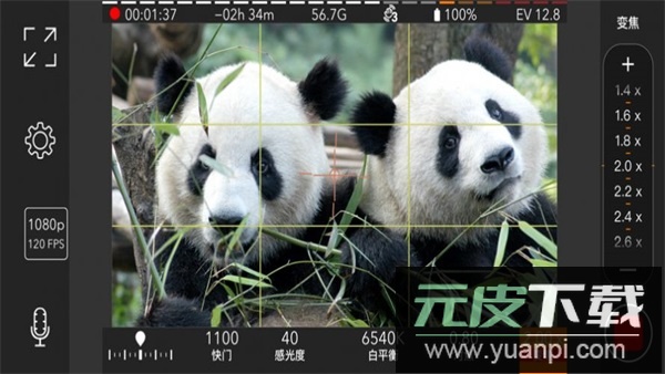 promovie专业摄像机正版截图5