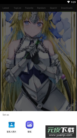 wallhaven壁纸软件官方版截图2