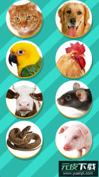 pet translator中文版截图3