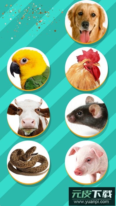 pet translator中文版截图4