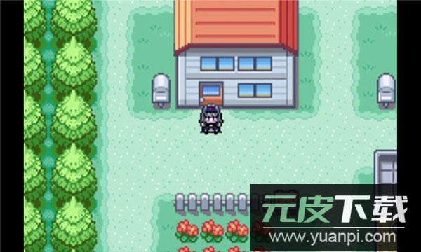 口袋妖怪火红手机版截图4