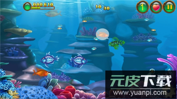 鱼吃鱼小米版截图4