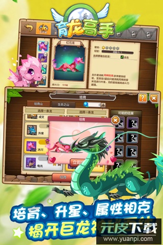 育龙高手手游最新版截图2