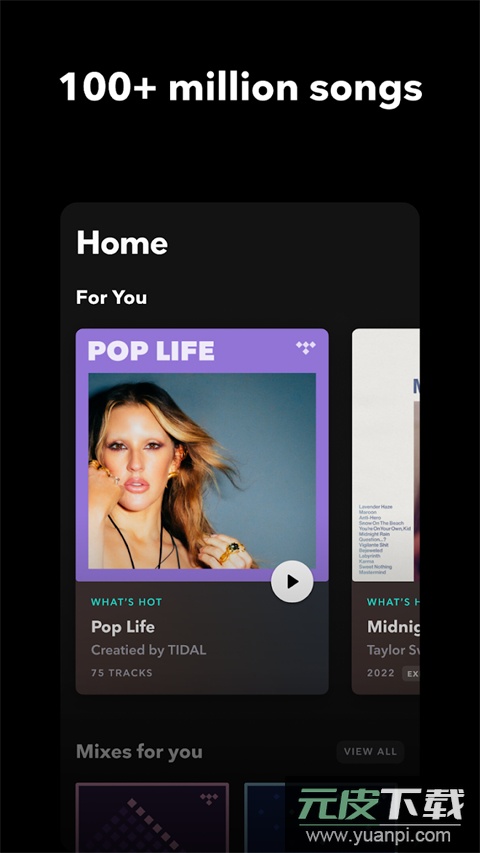 tidal音乐官方版截图2