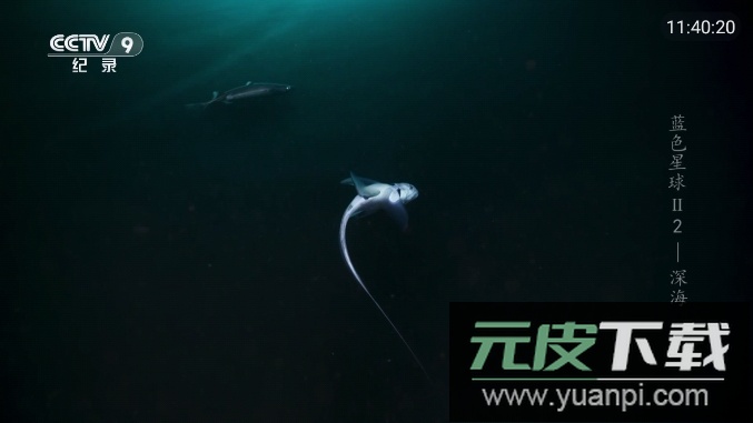 宏景TV无广告免会员版截图1