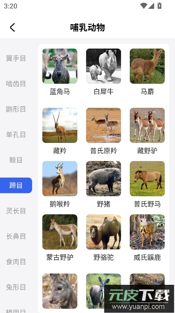 动物世界手机版下载截图3