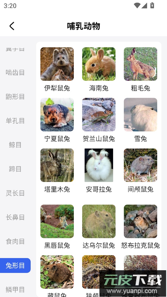 动物世界手机版下载截图4