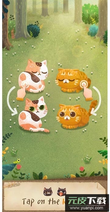 猫咪的秘密森林中文版截图3