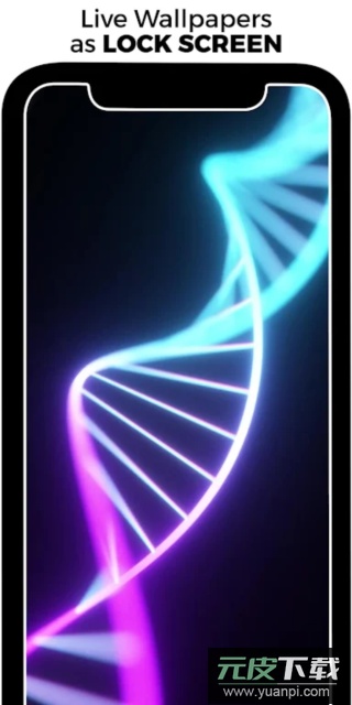 walloop壁纸软件手机版截图1