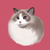 壁纸库(超高清壁纸)app最新版v1.0.1安卓版