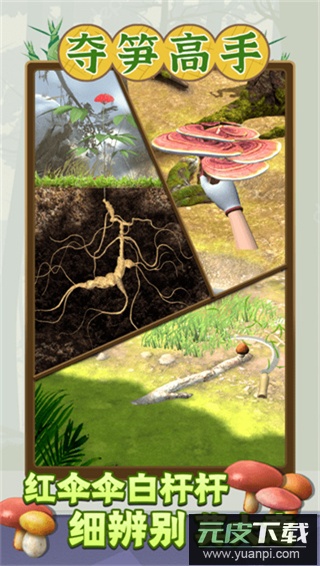 夺笋高手官方正版截图1