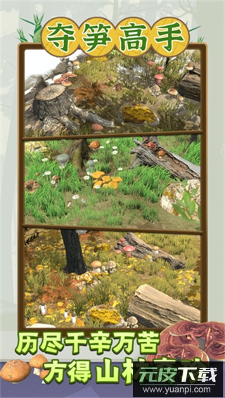 夺笋高手官方正版截图3