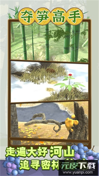 夺笋高手官方正版截图4