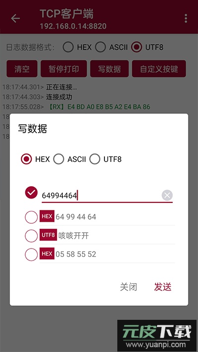 网络调试助手手机版app截图3
