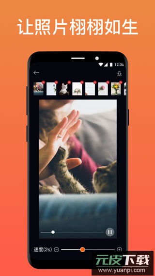 pixaloop官方免费版截图1