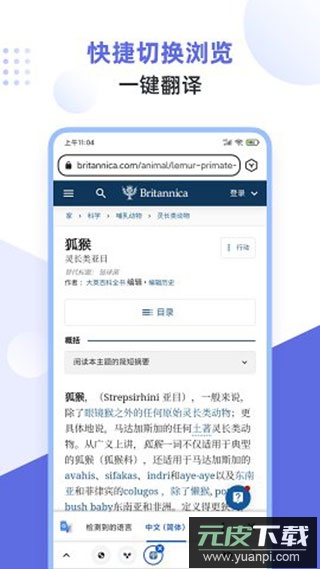 狐猴浏览器app官方最新版截图2