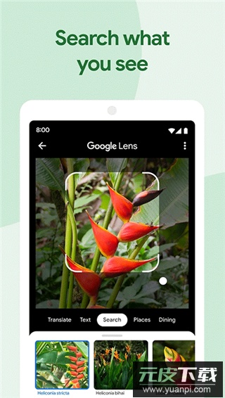 谷歌相册官方正版截图2