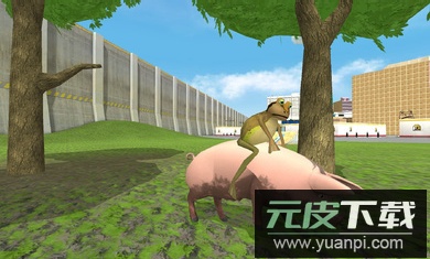 神器青蛙手机版截图3