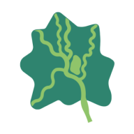 新津融媒app官方版v1.0.0